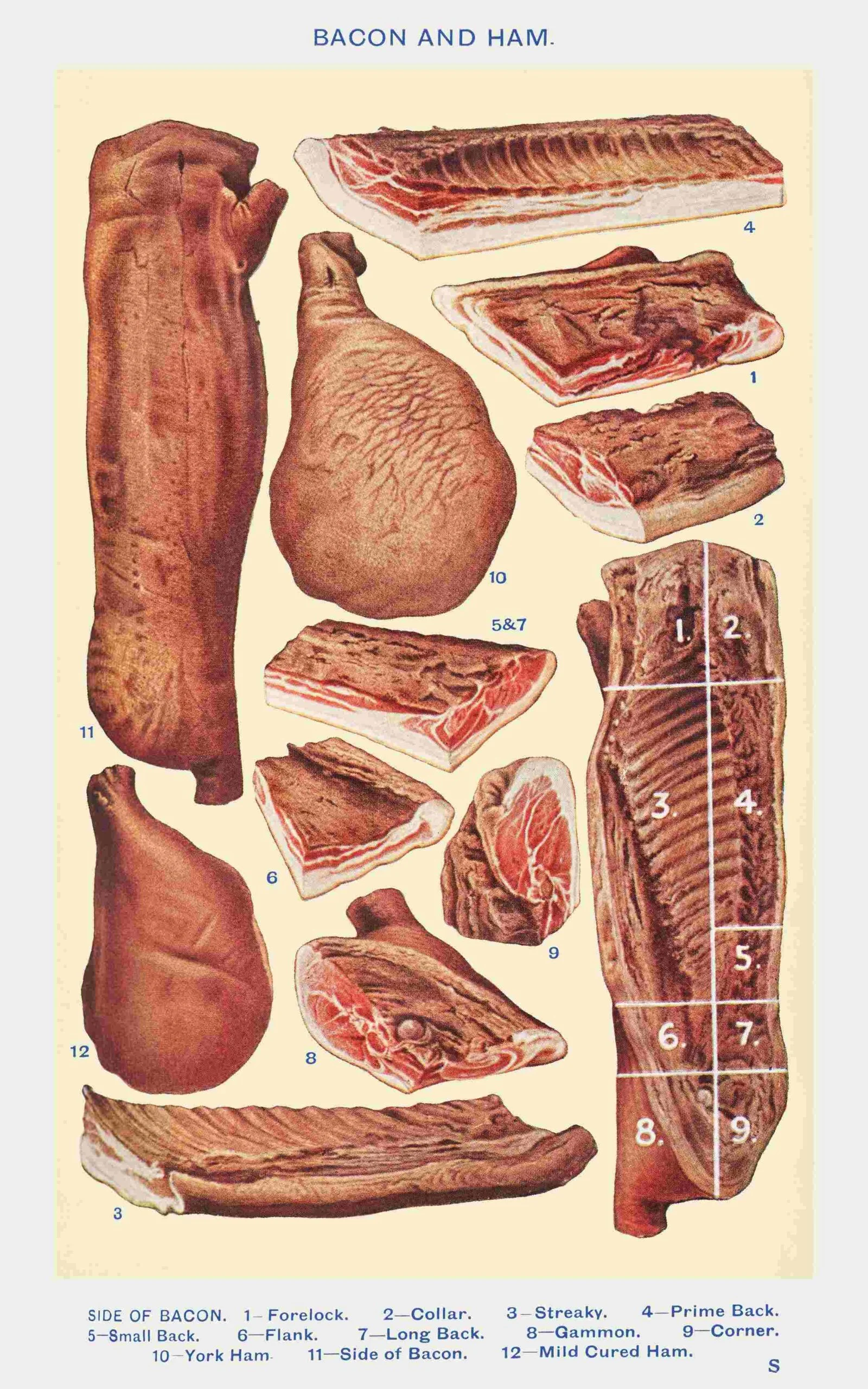 The Vegetarian by Han Kang | Body as last determination