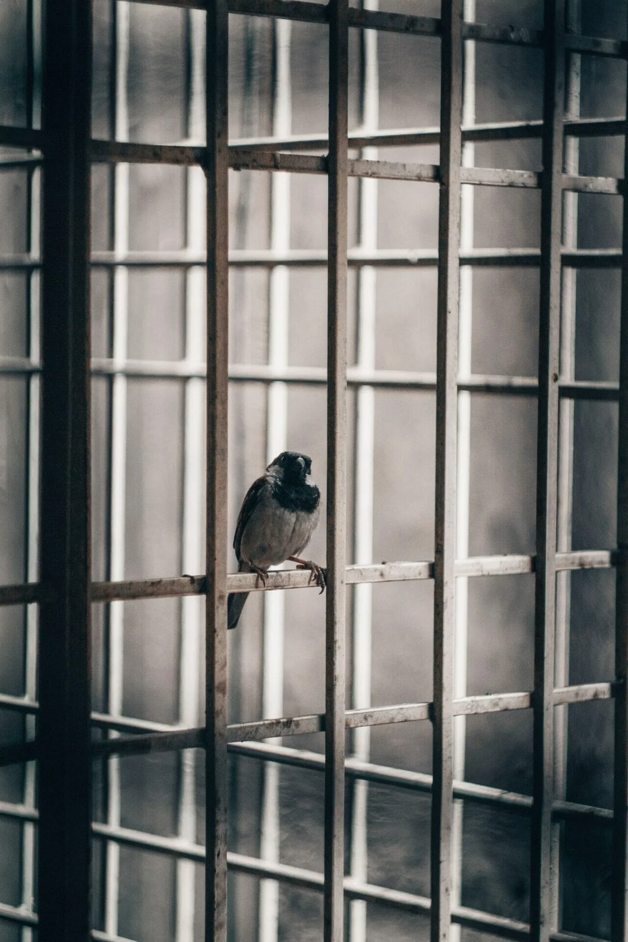L'università di Rebibbia | Learning about life in prison