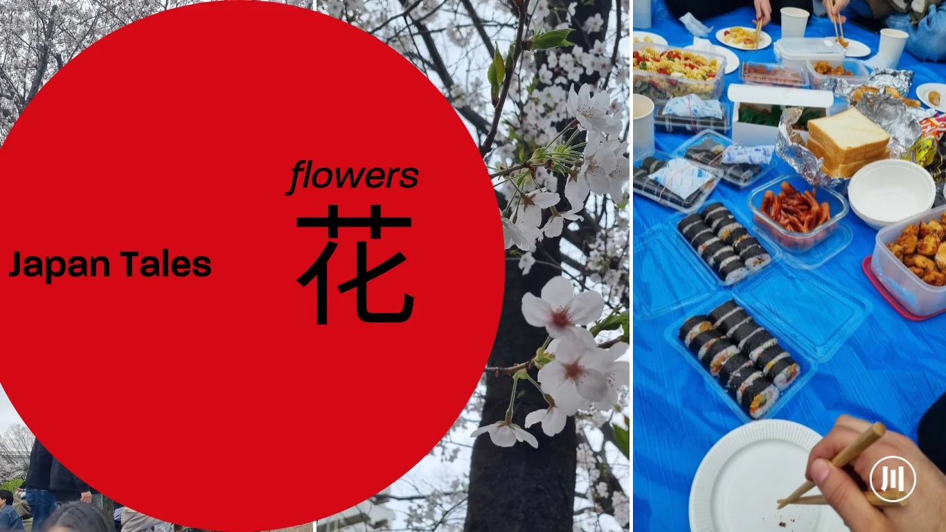 Japan Tales | 花 Flowers