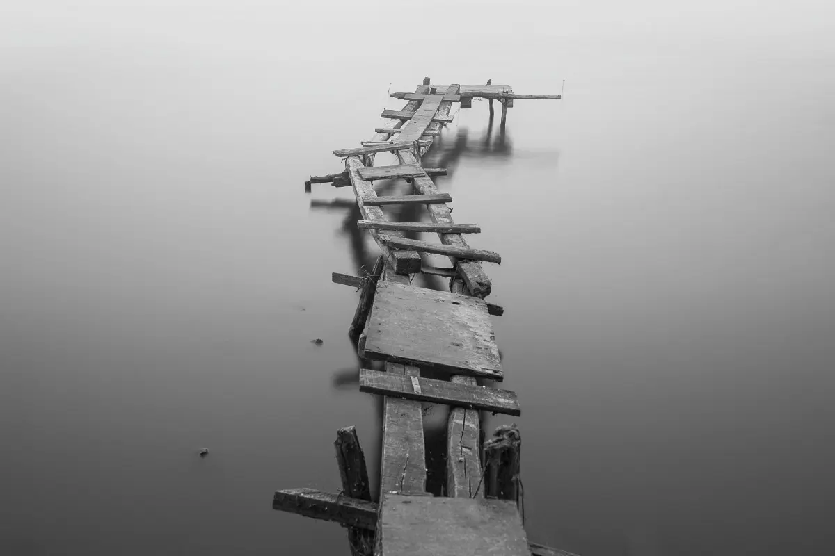 Damnation by Béla Tarr Review | Hungarian Cinema and the Poetry of Decay