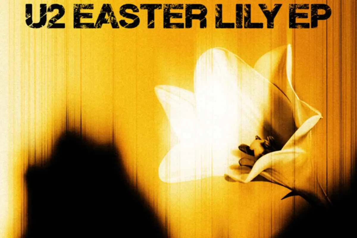 U2 and ‘Easter Lily’: the album weaves friendship, hope and rebirth into a musical narrative