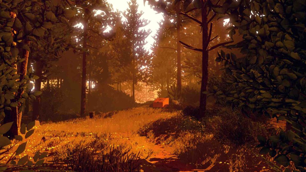 A gameplay image of the woods in the national forest, at sunset.